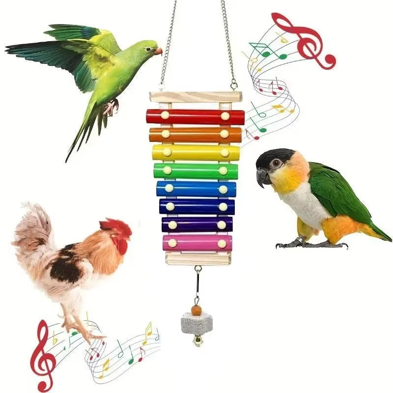 Colorful Bird Xylophone Toy Parrots Chicken Toys Bird Cage Toy Accessories Parakeets and Parrots Toys