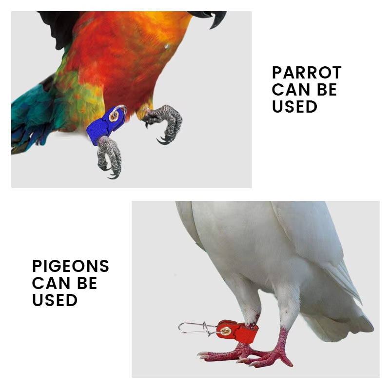 7 Size Pet Parrot Leg Ring Ankle Foot Chain Bird Suede Foot Ring Chain Leather Parrot Foot Live Buckle Rings Accessories 4 Color