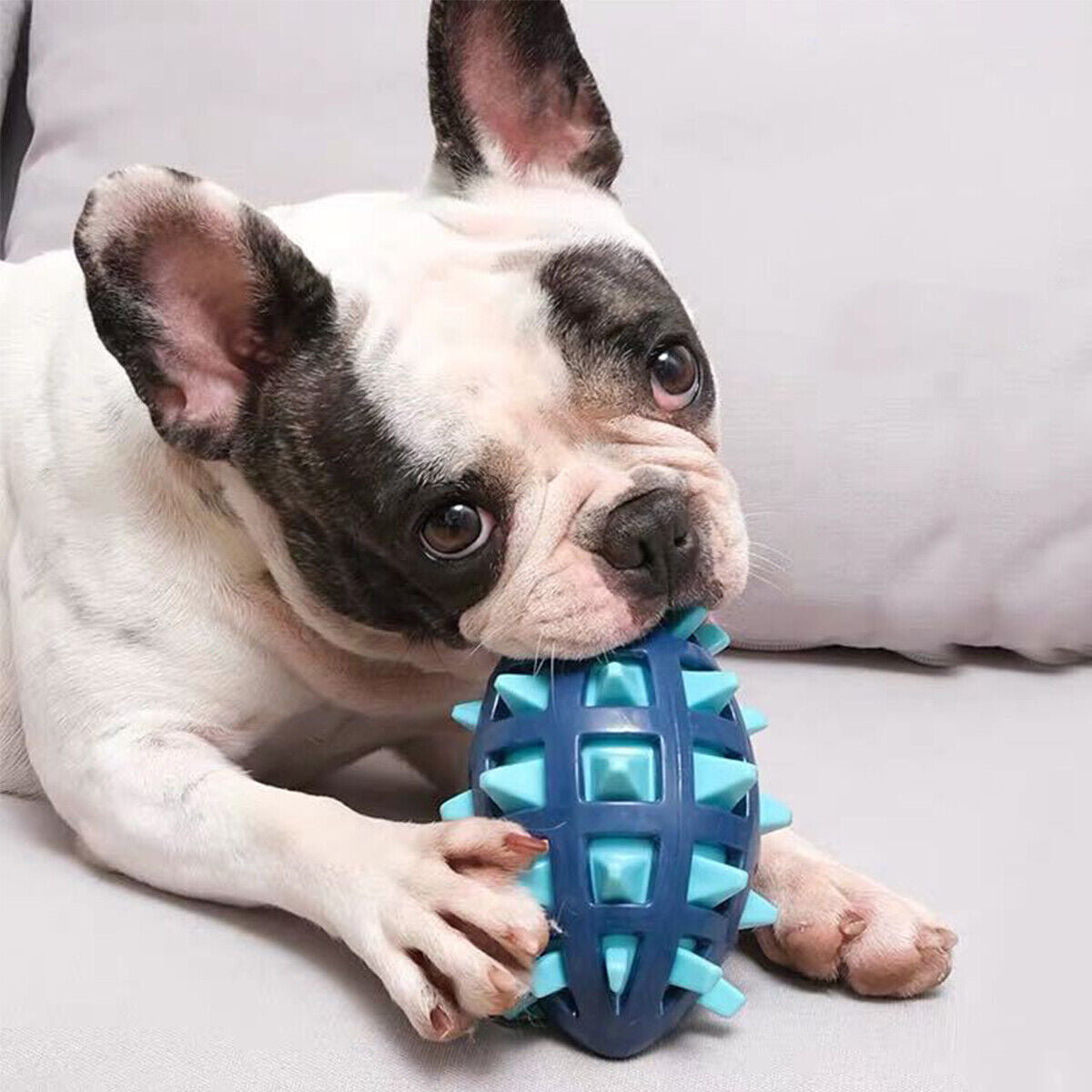 Indestructible Dog Toys for Aggressive Chewers - Squeaky Dog Ball Chew Toy Gifts