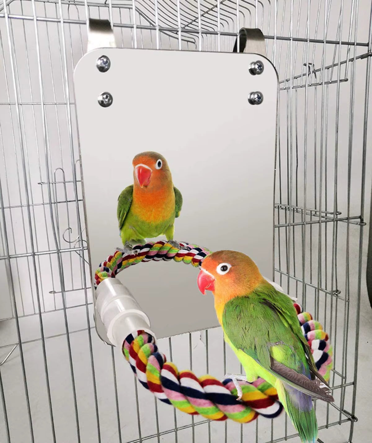 Bird Mirror with Perch Cage Swing Toy Macaws Finches Small Parakeet Rope Stand for Parrot Pet Supplies