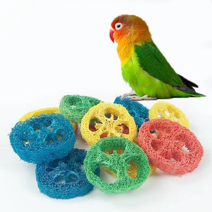 40/20/10Pcs Parrot Toys for Bird Accessories DIY Loofah Cage Decoration Chew Toys for Cockatiel Budgie Parakeet African Grey